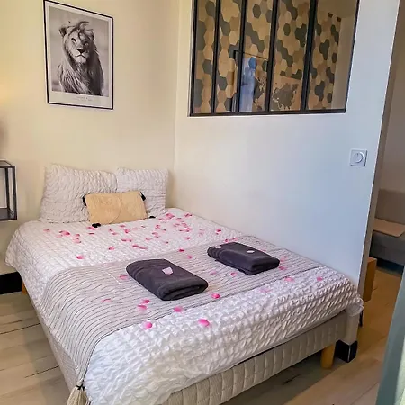 Le Cocon Boise - Coeur De - Gare Proche Apartmán Agen